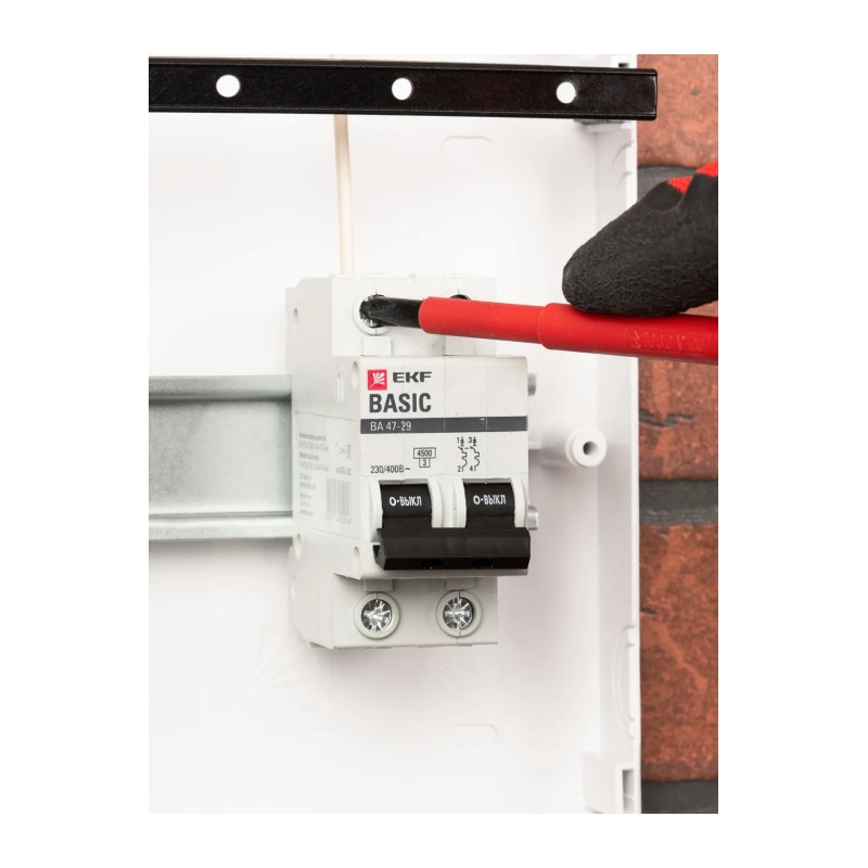 Автоматический выключатель EKF ВА 47-29 4,5кА, С 10А, 2П