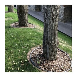 Бордюр садовый Standartpark Канта PRO пластик, черный (10000х150 мм)