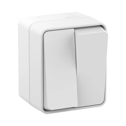 Выключатель о/у Atlasdesign Profi ATN540151, 2 клавиши, б/инд, IP54, белый