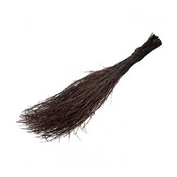 Веник чилиговый